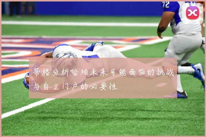 蒂格分析哈珀未来可能面临的挑战与自立门户的必要性